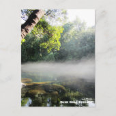 Carte Postale Voyage | Floride - Blue Hole Springs Matin Brumeux (Devant)