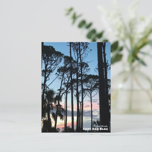 Carte Postale Voyage | Floride - Cape San Blas Pins Coucher de s (Debout devant)