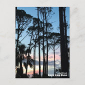 Carte Postale Voyage | Floride - Cape San Blas Pins Coucher de s (Devant)