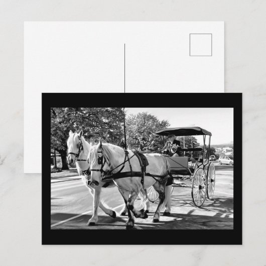 Carte Postale Voyage Intemporel (Devant / Derrière)