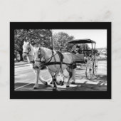 Carte Postale Voyage Intemporel (Devant)