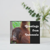 Carte Postale Voyage Salutations de l'Indonésie (Debout devant)