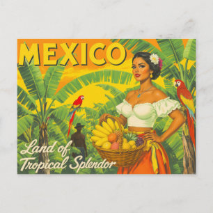 Carte Postale Voyage Tropical au Mexique Vintage