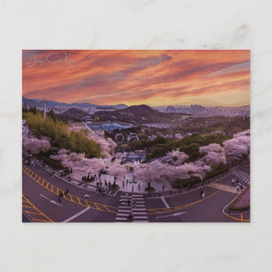 Carte Postale voyage vintage Daegu Corée du Sud ville retro