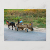Carte Postale Voyager en cheval et en charrue, Roumanie (Devant)