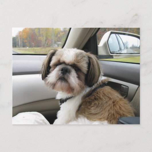 Carte Postale Voyageur ambulant (Devant)