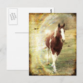 Carte Postale Voyant (Devant / Derrière)