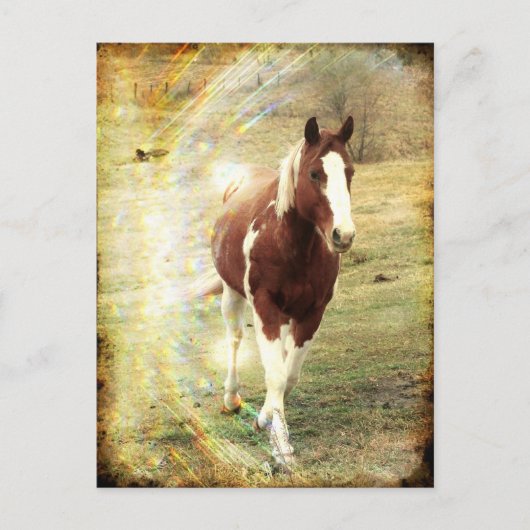 Carte Postale Voyant (Devant)