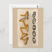 Carte Postale Voyelles AEIOU langue anglaise (Devant / Derrière)