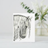 Carte Postale Vrai cheval romantique andalou (Debout devant)