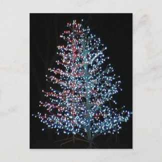 Carte Postale Vraiment brillant !