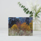 Carte Postale Vraiment Smokie Mountain Automne (Debout devant)