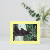 Carte Postale vraiment surpris (Debout devant)