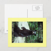 Carte Postale vraiment surpris (Devant / Derrière)