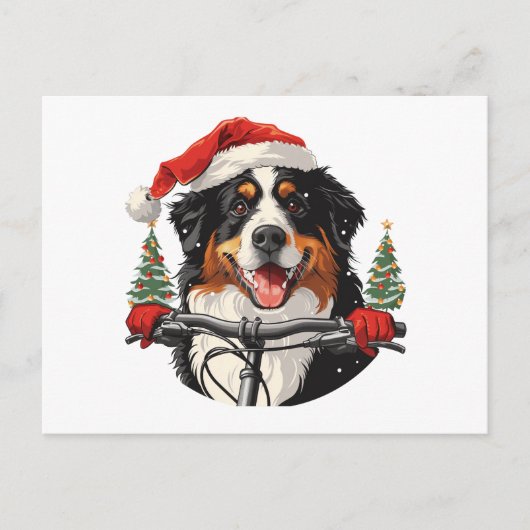 Carte Postale VTT bernois de Noël (Devant)