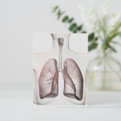 Carte Postale Vue 3D Du Système Respiratoire Féminin 1 (Debout devant)