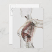 Carte Postale Vue 3D Du Système Respiratoire Féminin 2 (Devant / Derrière)