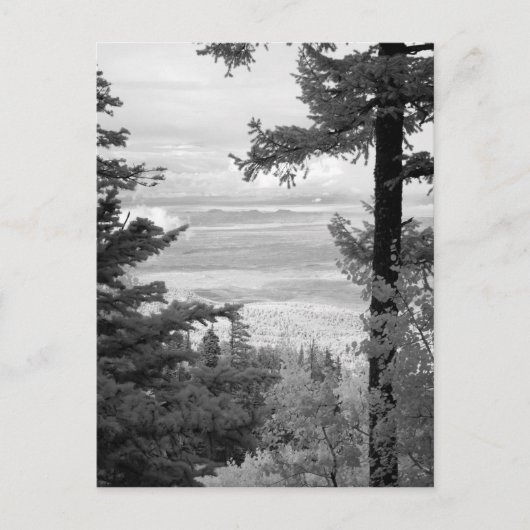 Carte Postale Vue à l'ouest de la crête de Sandia, Montagnes, (Devant)