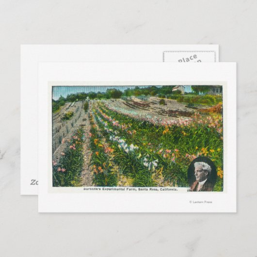 Carte Postale Vue aérienne de Burbanks Ferme expérimentale (Devant / Derrière)