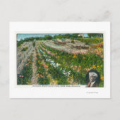 Carte Postale Vue aérienne de Burbanks Ferme expérimentale (Devant)