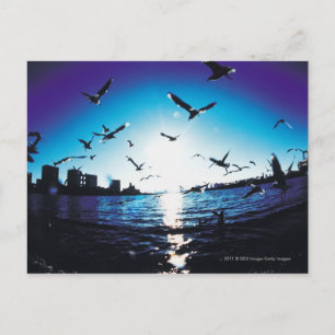 Carte Postale Vue aérienne de la baie de Tokyo, Japon