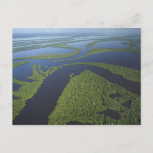 Carte Postale Vue aérienne de l'archipel d'Anavilhanas, inondé