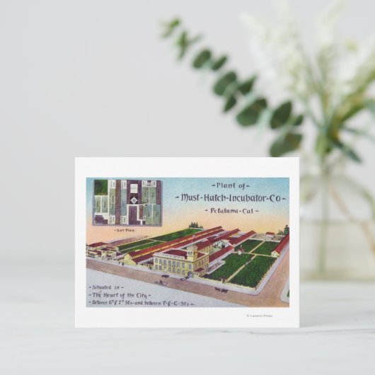 Carte Postale Vue aérienne de l'incubateur Co Bldg de must-Hatch (Debout devant)