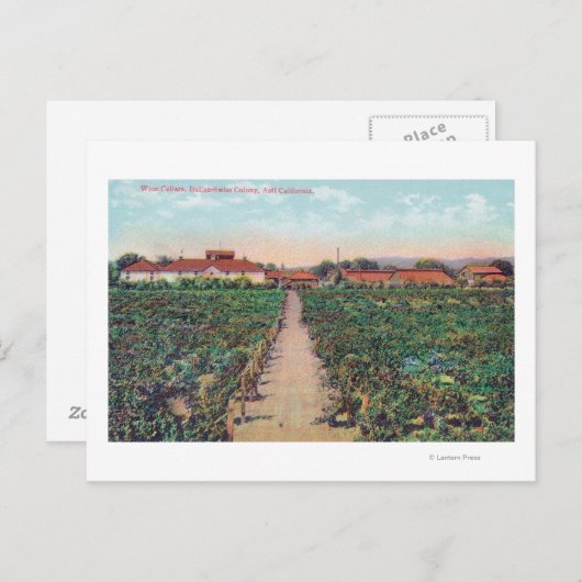 Carte Postale Vue aérienne des vignobles et caves à vin (Devant / Derrière)