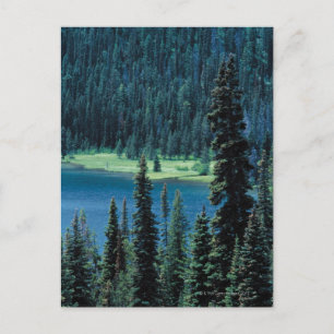 Carte Postale Vue aérienne du parc national de Grand Teton,