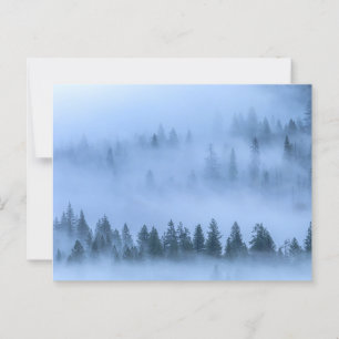 Carte Postale Vue aérienne Paysage forestier dans le brouillard