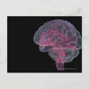 Carte Postale Vue arrière du cerveau humain