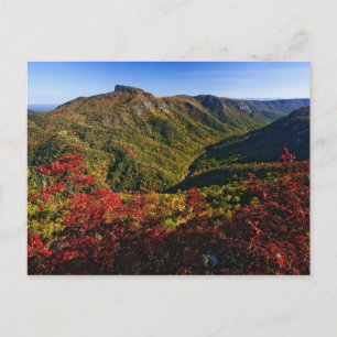 Carte Postale Vue automnale de la gorge de Linville souvent appe