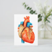 Carte Postale Vue Avant Du Coeur Humain (Debout devant)