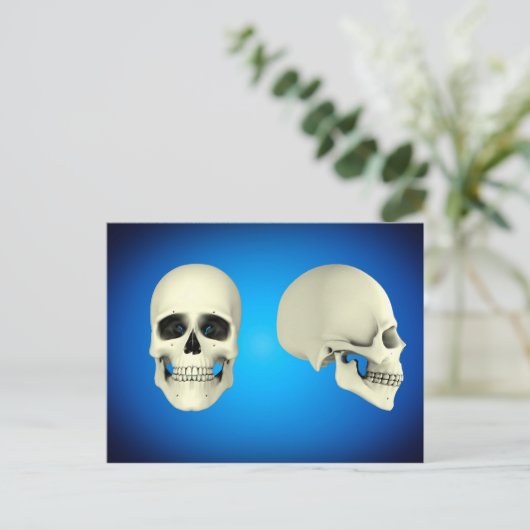 Carte Postale Vue Avant Et Vue De Côté Du Crâne Humain (Debout devant)