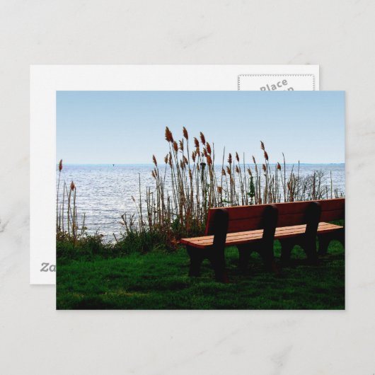 Carte Postale Vue Baie pittoresque (Devant / Derrière)