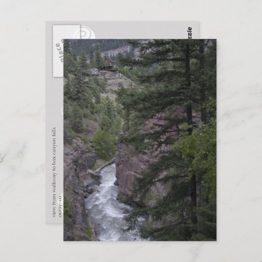 Carte Postale vue @ box canyon falls walkway (Devant / Derrière)