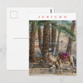 Carte postale vue chameau Jéricho (Devant / Derrière)