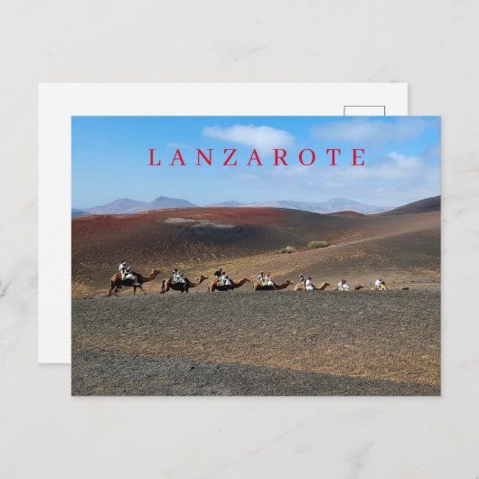 Carte postale vue chameaux de Lanzarote (Devant / Derrière)