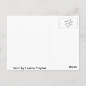 Carte Postale vue claire (Dos)