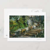 Carte Postale Vue d'attelages de bœufs transportant des grumes (Devant / Derrière)