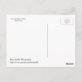 Carte Postale Vue d'automne de la dent du dragon (Dos)