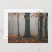 Carte Postale Vue d'automne sur la forêt de brouillard, Grand-pè (Devant / Derrière)