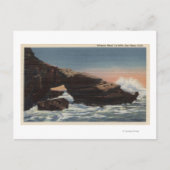 Carte Postale Vue de Alligator Head, La Jolla (Devant)