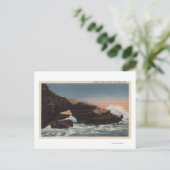 Carte Postale Vue de Alligator Head, La Jolla (Debout devant)