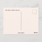 Carte Postale Vue de Bow River Alberta Canada (Dos)