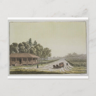 Carte Postale Vue de Capitol Hill, Washington (gravure couleur)