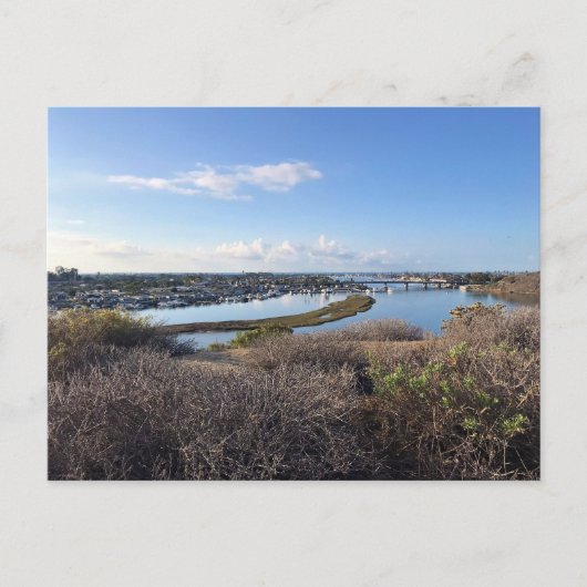 Carte Postale Vue de Castaways Park, Newport Beach, CA (Devant)