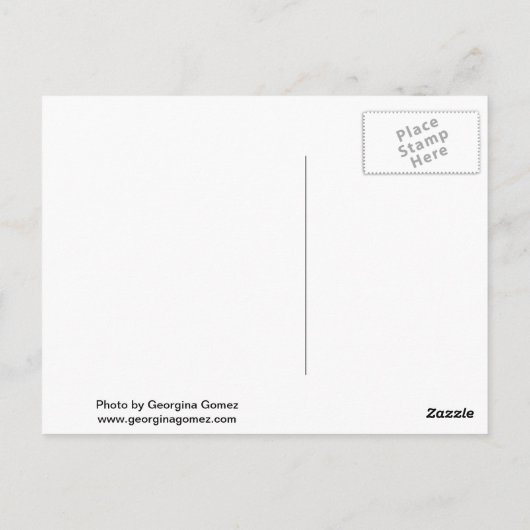 Carte Postale Vue de Central Park à New York (Dos)