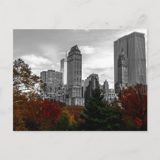 Carte Postale Vue de Central Park à New York (Devant)