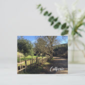 Carte Postale Vue de clôture Rancho (Debout devant)